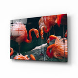 Flamingos Glasbild