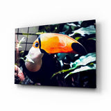 Arte de pared de vidrio de Toco toucan