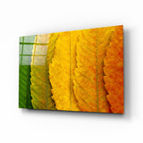 Herbstblätter Glasbild