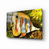 Orange Fish Glass Wall Art