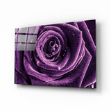 Arte de pared de vidrio de Rosa purpura