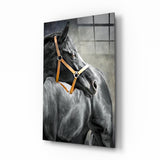 Pferd Glasbild
