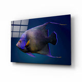 Reine angelfish Impression sur verre
