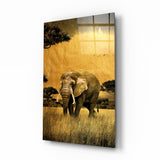 Elephant Glass Wall Art