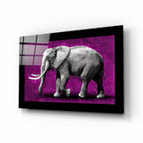 Elefant Glasbild