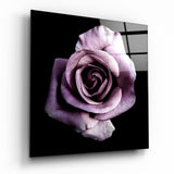 Arte de pared de vidrio de Rosa purpura