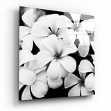 Black and White Flowers Glass Wall Art