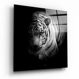 Arte della parete di vetro tigre bianca