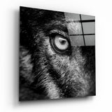 Wolf's Eye Glass Wall Art