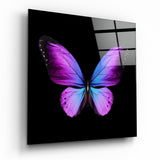 Arte della parete di vetro L'eleganza della farfalla