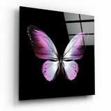 Die Eleganz des Schmetterlings Glasbild