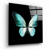 L'élégance du papillon Impression sur verre