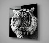 Tiger's Look Glass Wall Art