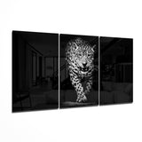 Leopard im Dunkeln Glasbild