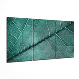 Blattstruktur Mega Glasbild - 140x72 cm