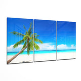 Glasbild Palme am Strand - 140x72 cm