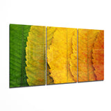 Green To Orange Leaf Gradient Glass Wall Art - 140x72 cm