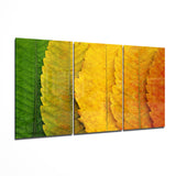 Arte della parete di vetro Foglie d'autunno