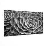 Glasbild Sukkulente - 140x72 cm