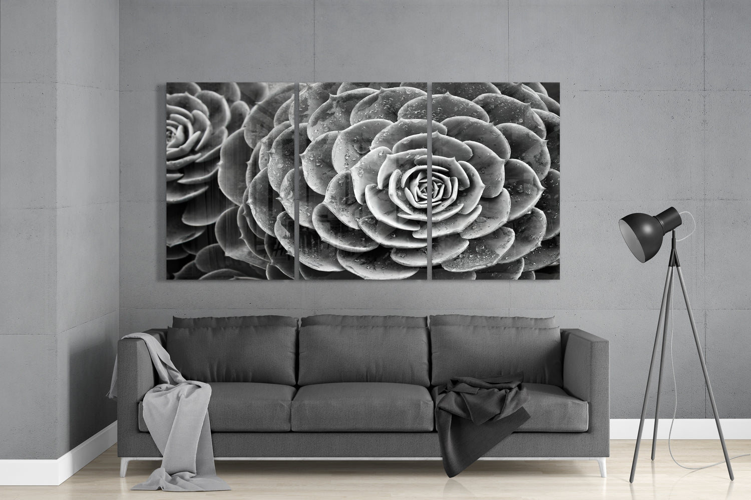 black and white succulent wall art Succulent Mega Glass Wall Art – Insigneart EU