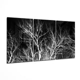 Branches Glass Wall Art