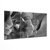 Graue Tulpenblätter Triptychon Glasbild - 140x72 cm