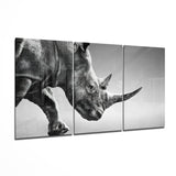 Arte della parete di vetro Rinoceronte