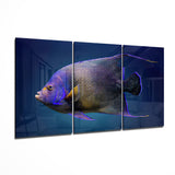 Königin-Kaiserfisch Glaskunst - 140x72 cm