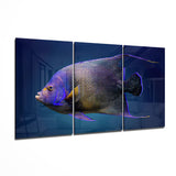 Arte della parete di vetro Regina Angel Fish
