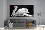 Swan Glass Art
