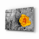 Une rose jaune Impression sur verre