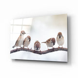 Arte della parete di vetro Uccelli
