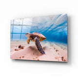 Arte della parete di vetro Tartaruga di mare