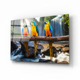 Parrots Glass Wall Art
