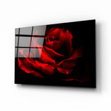 Rote Rose Glasbild