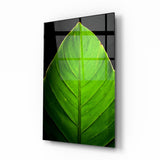 Green Leaf Glass Wall Art