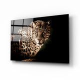 Arte della parete di vetro Leopardo