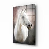 Pferd Glasbild