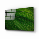 Grünes Blatt Glasbild