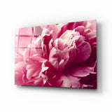Pinke Blume Glasbild