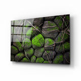 Mossy Stones Glass Wall Art