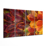 Crimson Fallen Autumn Leaf Pile 4 Pieces Mega Glass Wall Art