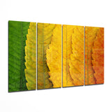 Autumn Leaves 4 Pieces Mega Glass Wall Art (150x92 cm)
