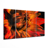 Gerbera Daisy 4 Pieces Mega Glass Wall Art (150x92 cm)
