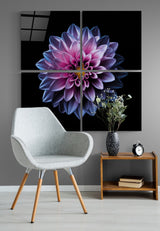 Chrysanthème violet Quadro tableau en verre - 40x40 cm