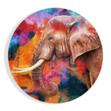 Elephant Sash Glass Wall Art
