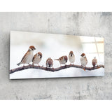 Oiseaux (92x36 cm) Impression Sur Verre