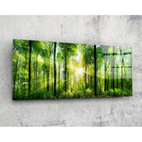 Éclat de soleil dans une hêtraie verte tableau en verre