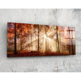 Lichtstrahlen im bernsteinfarbenen Herbstwald Glasbild