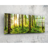 Wald (92X36 Cm) Glasbild